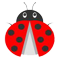 Biedronki